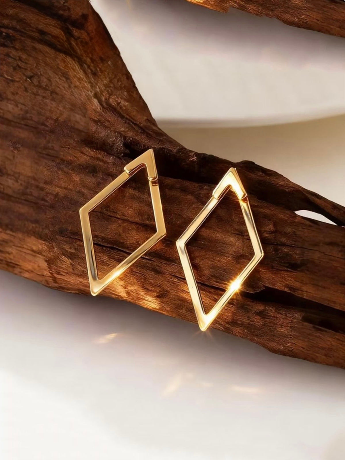 Geometric Edge Earrings